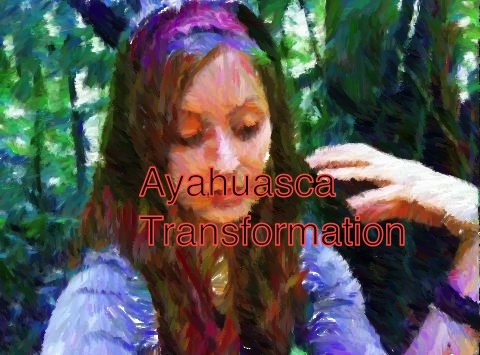 Ayahuasca Changed My Life
