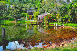 Spirit Vine Brazil Ayahuasca Retreat Pond